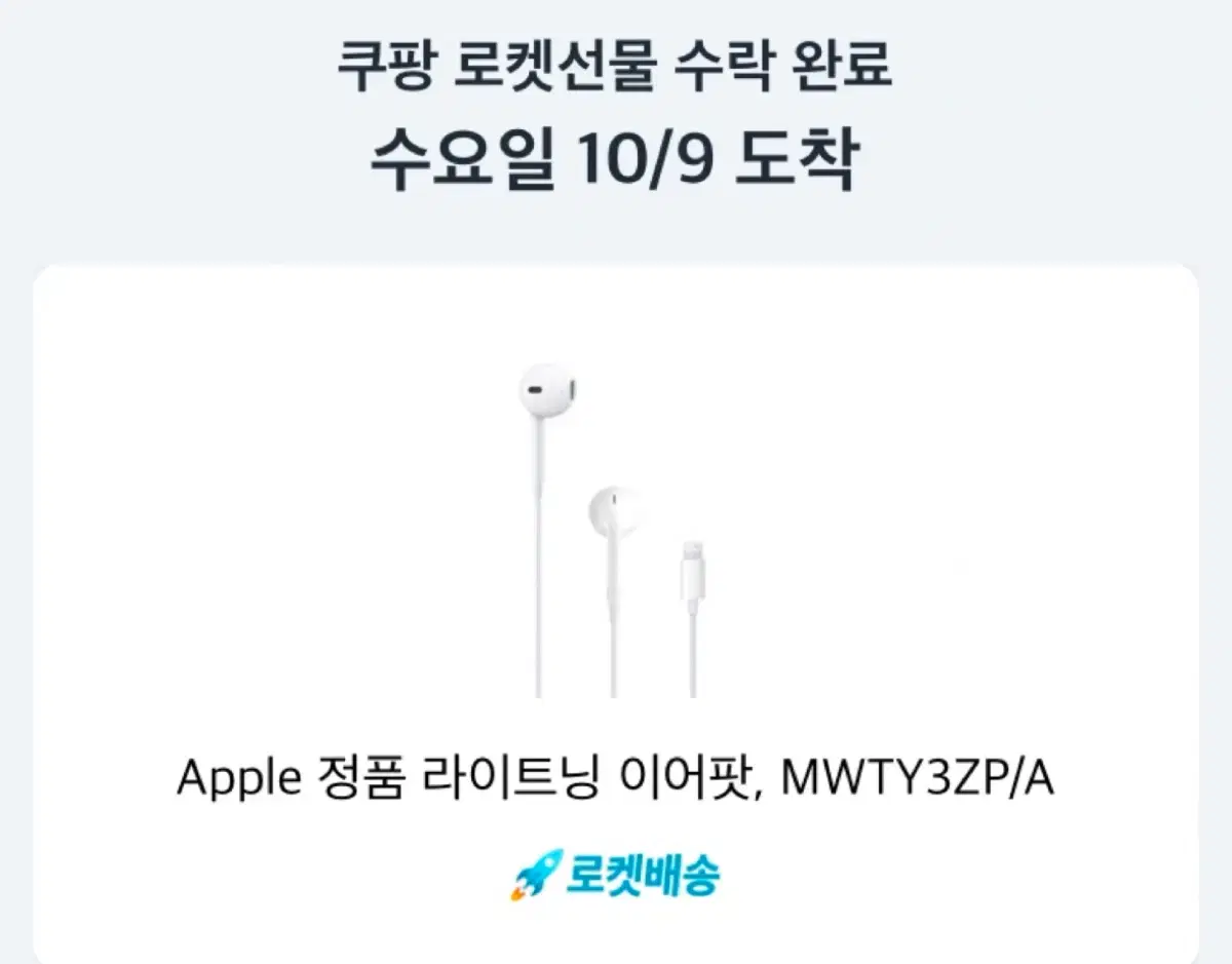 Apple 정품 라이트닝 이어팟